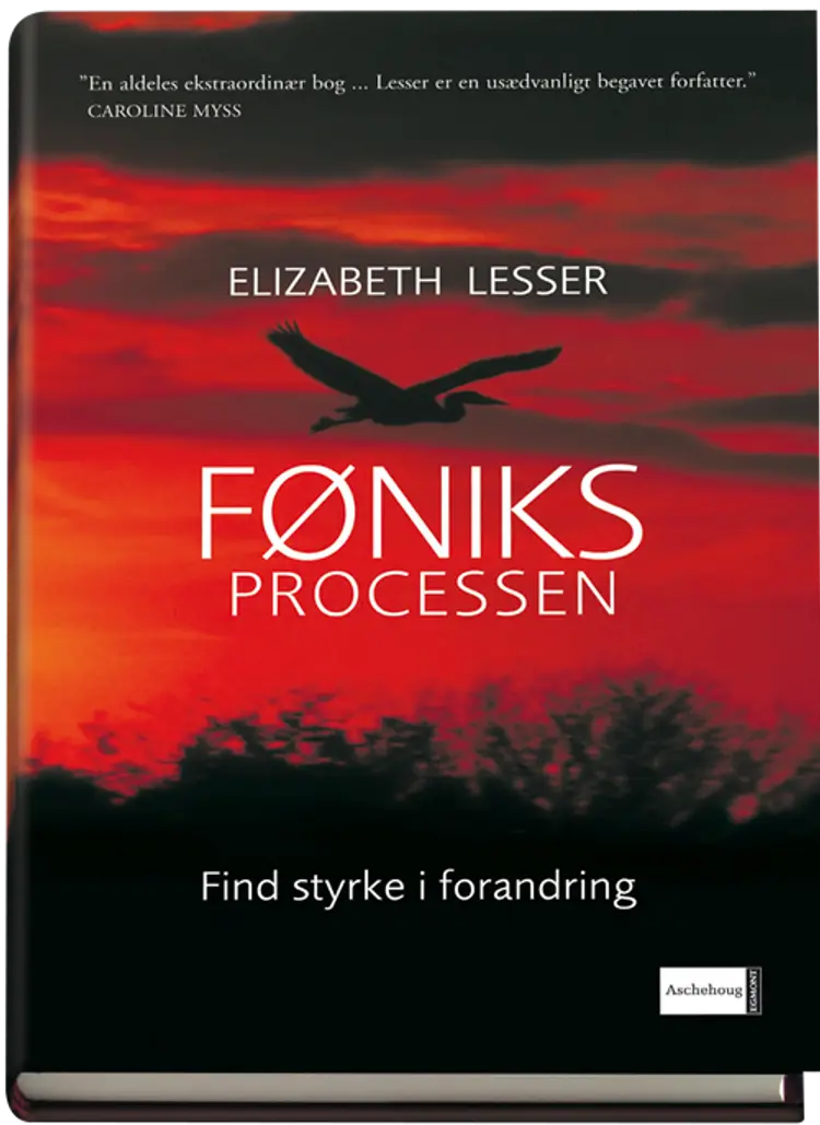 Føniksprocessen af Elizabeth Lesser