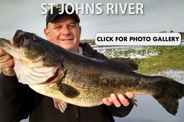 St Johns River Gallery