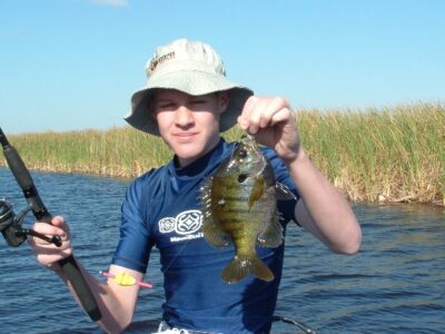 Bluegill on a Clouser  Bluegill, Fly fishing, Fish