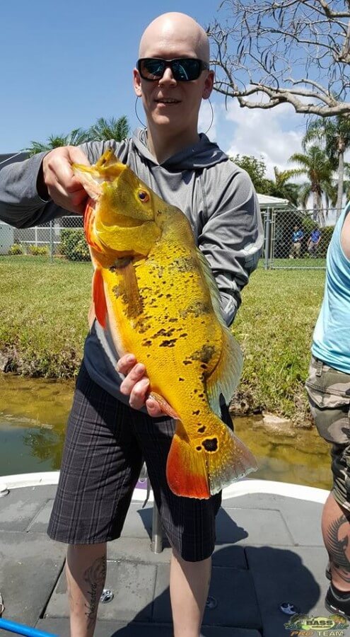 peacock bass fishing trips in florida
