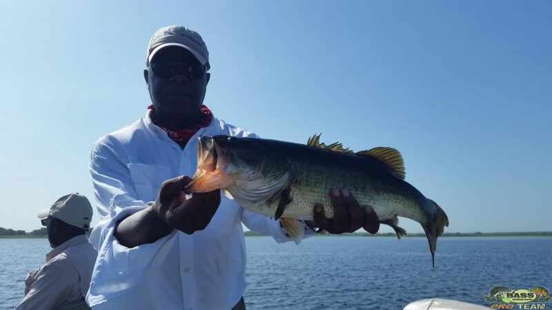 West Lake Toho bass fishing guide service