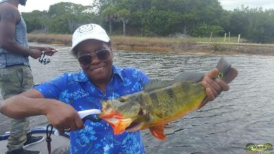 Peacock Bass Fishing In The AeroJet Canal