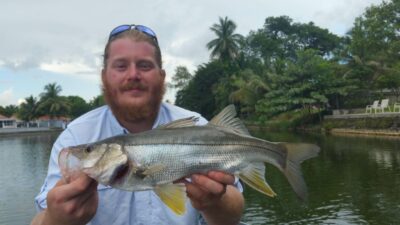 Freshwater Snook Are Florida Native Fish