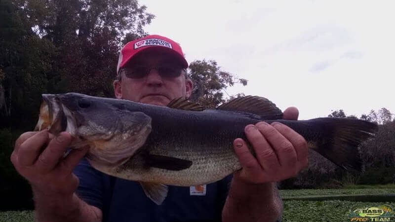 Catching Bass On The St Johns River