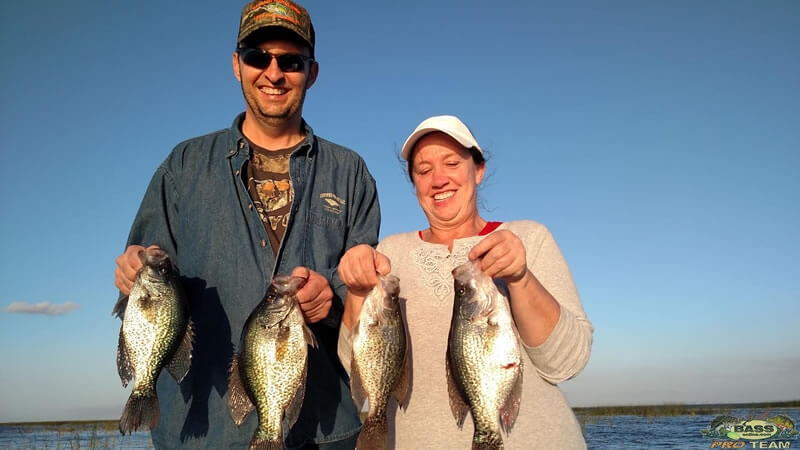 spring jigs - fish for crappie