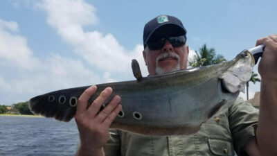 Lake Osborne In Palm Beach - #1 Best Place To Catch Peacock