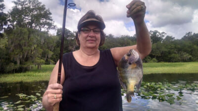 Panfish moves near shoreline structures