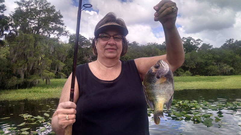 live bait bluegill fishing