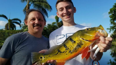 Peacock Bass Fishing Homestead Florida with Freshwater Bass Guides