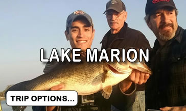 Lake Marion Fl