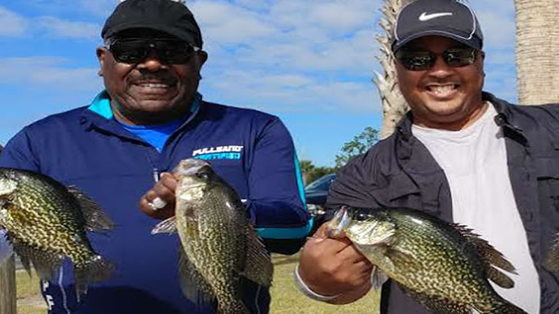 spring crappie fish water column