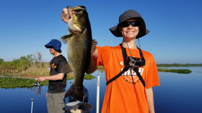 Lake Apopka