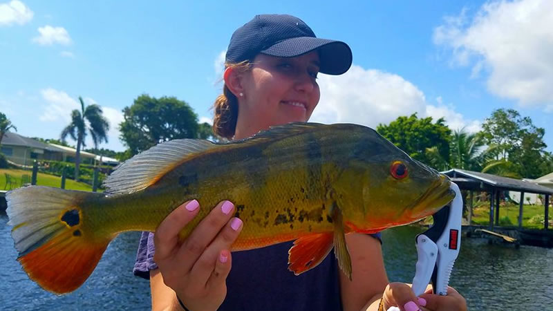 Family Lake Ida Fishing