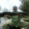 Snakehead - South Florida Bass Charters