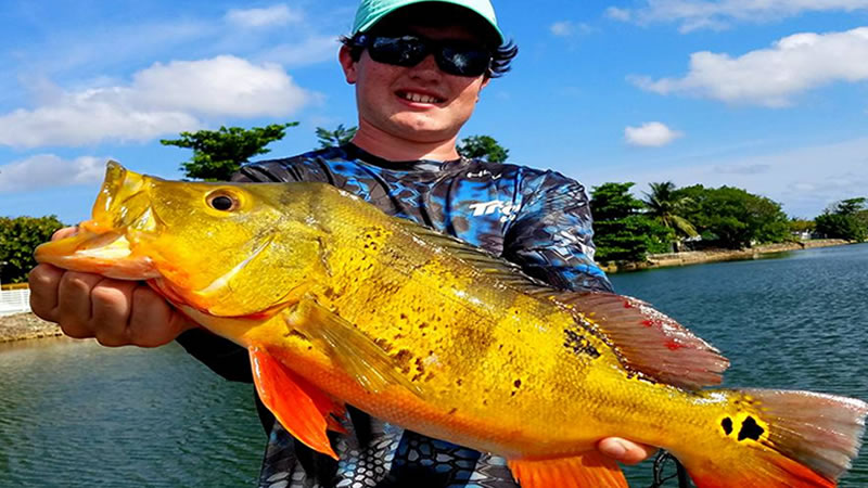 Peacock Bass fishing before hurricane Idalia hits Florida