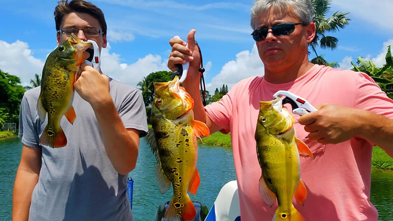 Fantastic Bass Fishing Charters 1