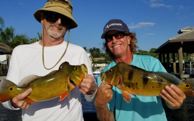 October South Florida Fishing Report with Local Experts