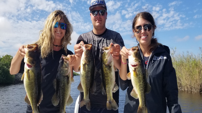 Deep Everglades Bass Fishing