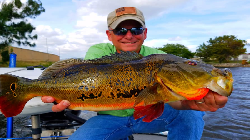 Fly-Fishing for Trophy Peacock Bass in Columbia, Holidays