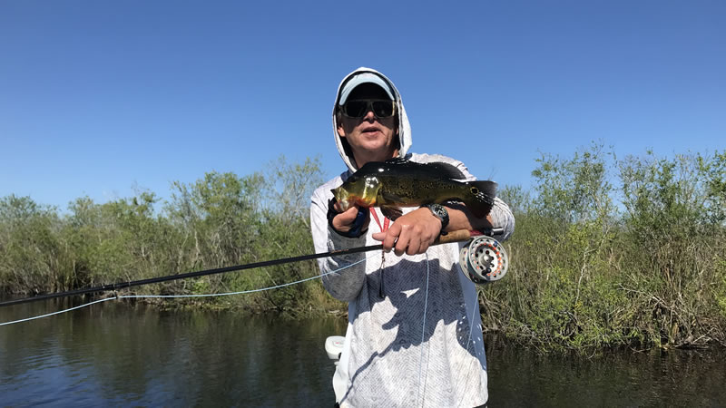 Florida, Everglades, Alligator Alley, Interstate 75, sawgrass, wetland,  canal, fresh water fishing, Stock Photo, Picture And Rights Managed Image.  Pic. G14-877051