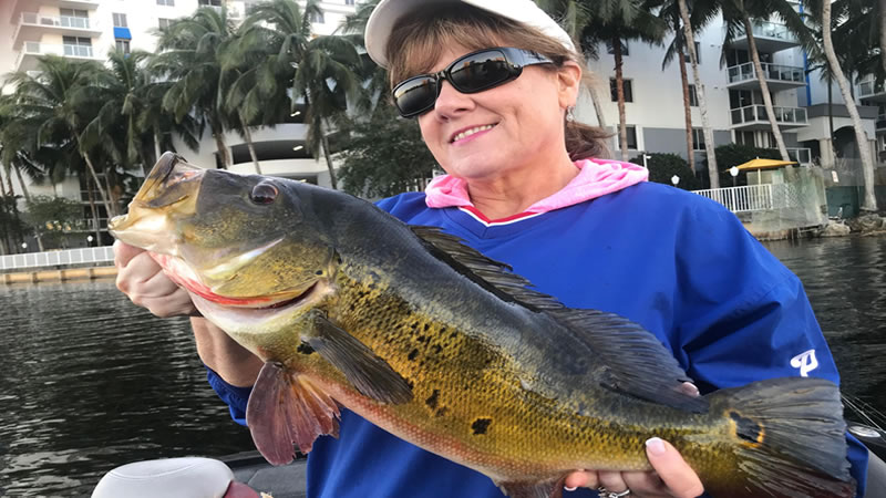 January Airport Lakes Fishing 4