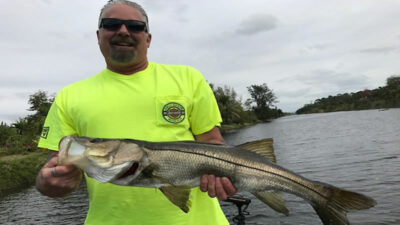 Naples Friendly Peacock Bass 3