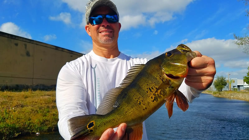 February Peacock Bass Fishing 3