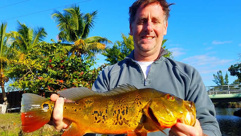 Peacock Bass Fishing In The Blue Lagoon 