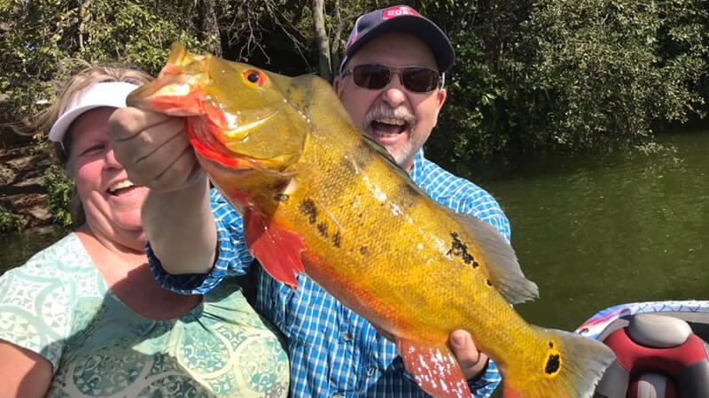 Peacock Bass fishing before hurricane Idalia hits Florida 🌦️🎥🔥🎣.. • • # peacockbass #peacockbassfishing #bassfishing #la