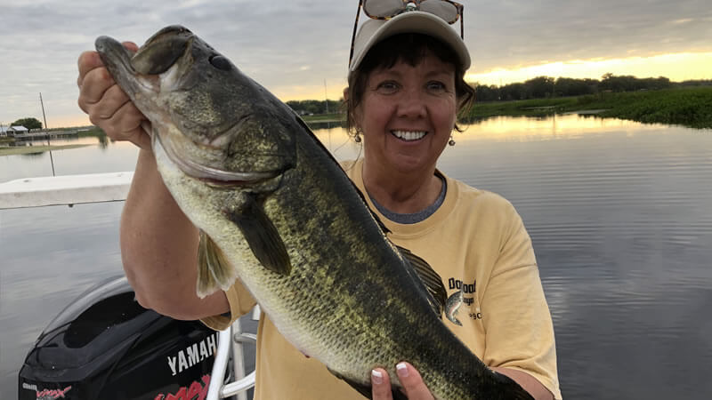 Good Numbers, Empty Beds – Headwaters Bass Report