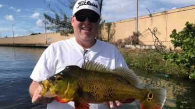 Travel Blog South Florida: Live Bait Methods Fishing Captains Use for  Peacock Bass