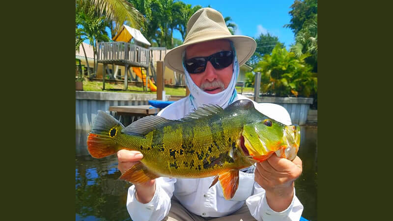 Outstanding Summer Peacock Fishing 1