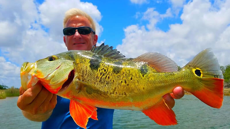 deep-south-peacock-bass-fishing-charters-in-1-best-miami