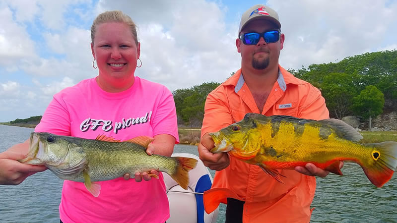 Fishing For Peacock Bass In Florida (The Ultimate Guide)