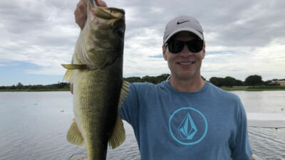 Schooling Summer Largemouth Bass 3