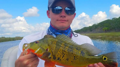Summertime Bass Fishing With Frogs - Colorado Outdoors Online