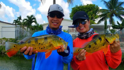 Travel Peacock Bass Fishing Adventure In Miami Florida