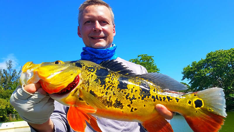 Fishing With Fabel: Peacock Bass On The Fly 