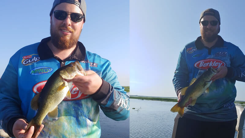 Using Berkley Gulp Flukes For Freshwater Bass 