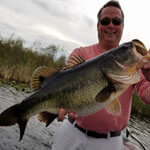 Sawgrass Bass Fishing Charter