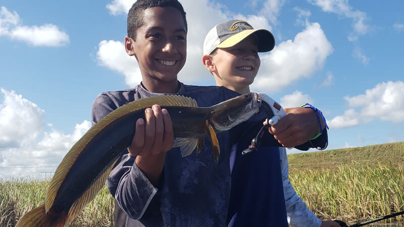 October Peacock Bass Fishing Reports in South Florida with Experts