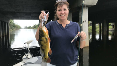 November Naples Bass Fishing 2