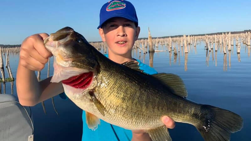 Lake Erie Smallmouth Bass Fishing: Seasonal Patterns, Baits, and Best Spots