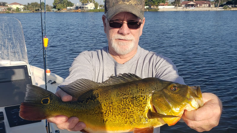 January Naples Bass Fishing Charters in Southwest Florida