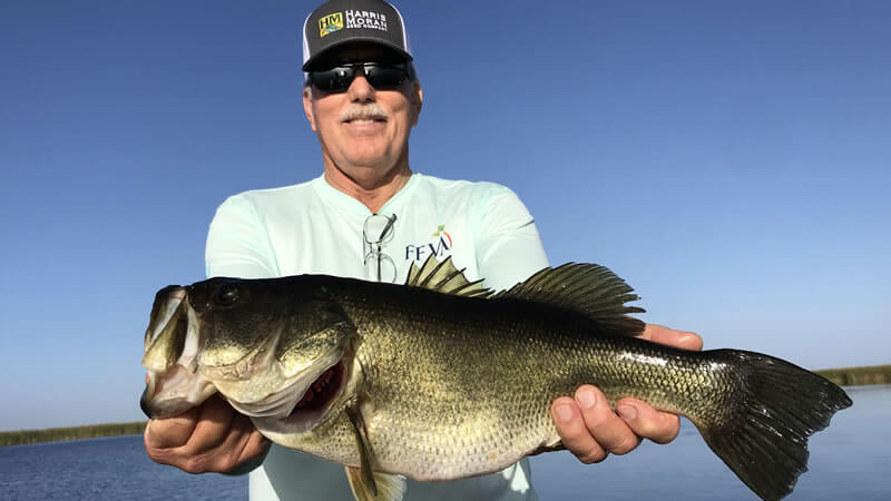 Current February Okeechobee Report for Florida Largemouth Bass