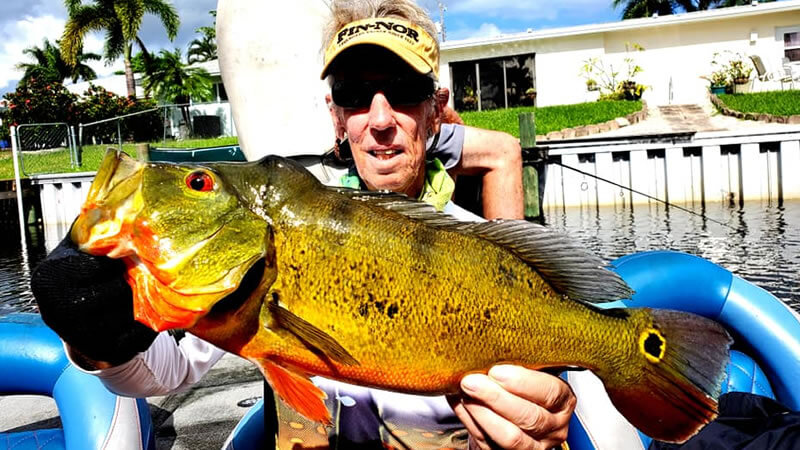 February Lake Ida Fishing Charters for Florida Peacock Bass