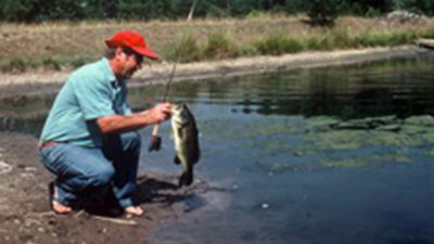 Pond Fishing for bass