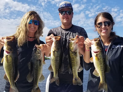 Florida Everglades Largemouth Bass