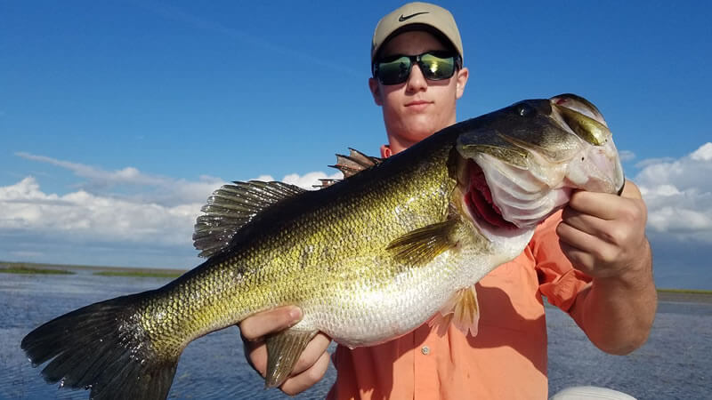 Lake Clinch largemouth bass fishing lakes