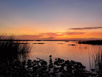 Lake Okeechobee water levels